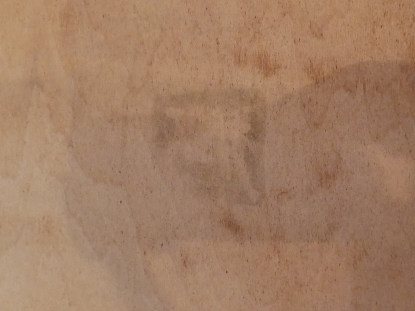 舩木研兒【鹿】スリップウェア 陶板 額入り フォークアート