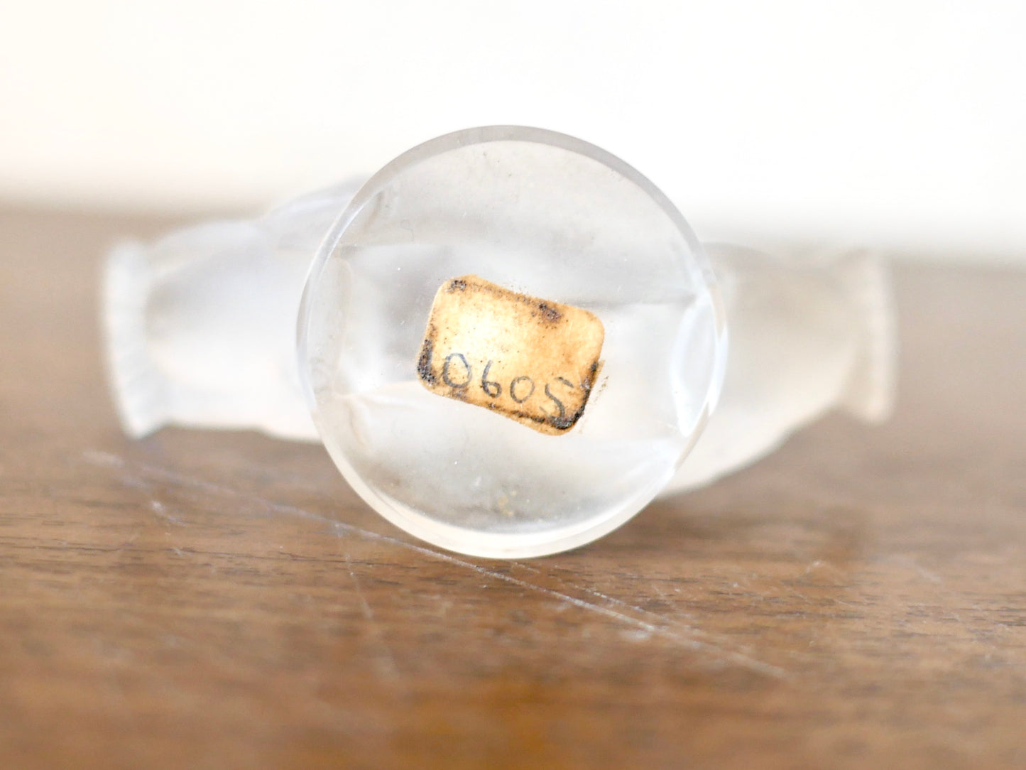 LALIQUE ラリック【ドゥ コロンブ】鳥